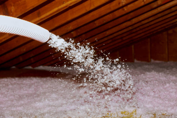 Best Spray Foam Insulation in Paris, TX