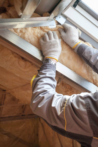 Types of Insulation We Offer in Paris, TX
