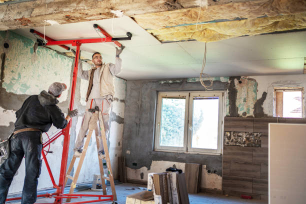 Best Geographic-Specific Insulation Services in Paris, TX