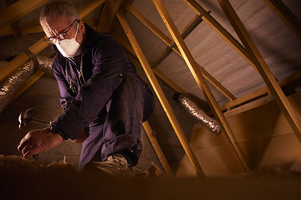 Best Spray Foam Insulation in Paris, TX