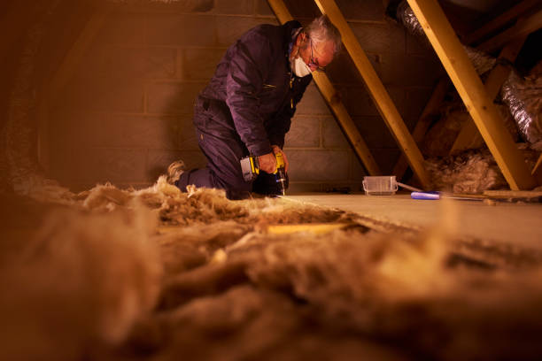 Best Specialized Insulation Services in Paris, TX